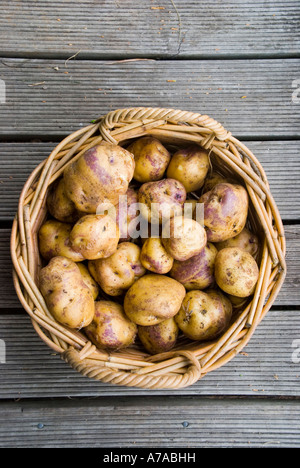 Ein Korb mit tasmanischen Bindehautentzündung Kartoffeln Stockfoto