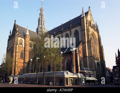 St. Bavo-Kirche in Haarlem Holland Stockfoto