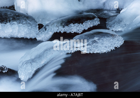 Eis bildet an den Seiten eines Baches im frühen Winter in Québec Stockfoto