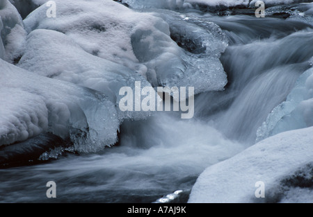 Eis bildet an den Seiten eines Baches im frühen Winter in Québec Stockfoto