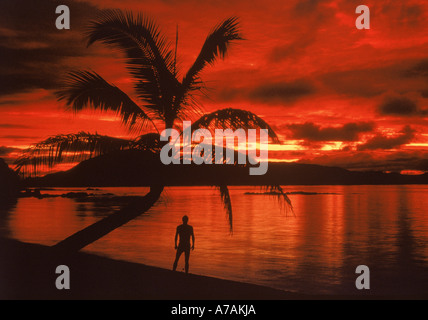 Insel-Sonnenaufgang im Südpazifik in Figi mit Mann und Palm Tree ruhigen Ufer Stockfoto