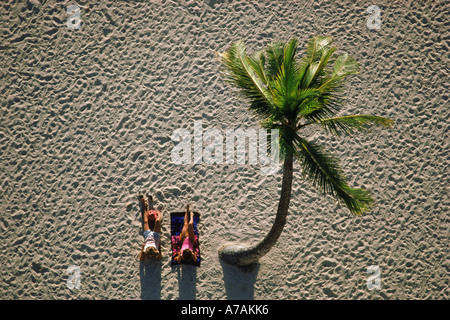 Paar am Strand in Hawaii unter einsame Palme Stockfoto
