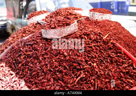 Heuschrecken in Chilis Chapulines als Delikatesse genossen während des Tages der Toten Festival Oaxaca-Stadt Mexiko gebraten Stockfoto