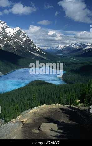 Lake Peyto-British Columbia-n4 Stockfoto