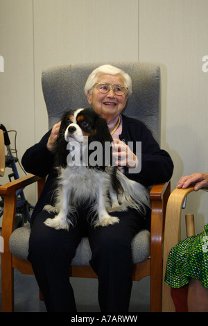 Ältere Frau mit Cavalier King Charles Spaniel Stockfoto