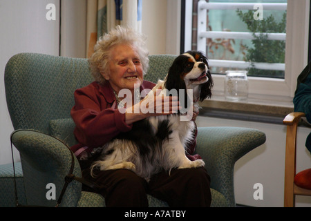 Ältere Frau mit Cavalier King Charles Spaniel Stockfoto