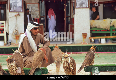 Falken in Souq Waqif Doha Katar zu verkaufen Stockfoto
