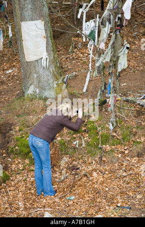 Touristen, die in Clootie gut fotografieren, wurden Stoffstreifen oder Lumpen zurückgelassen, die in einem Heilritual an die Äste des Baumes gebunden wurden. Munlochy, Großbritannien Stockfoto