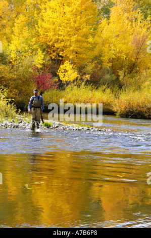 Idaho Mackay Big Lost River Mann zu Fuß über einen Fluss beim Fliegenfischen einen Fluss im Herbst Stockfoto