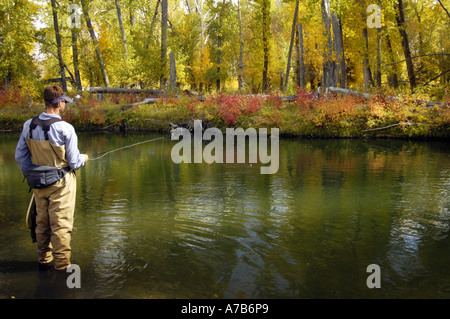 Idaho Mackay Big Lost River Man Fliegenfischen einen Fluss im Herbst Stockfoto