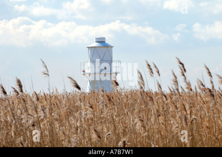 Schilfbeetes und Leuchtturm am Newport Feuchtgebiete National Nature Reserve South East Wales UK Stockfoto