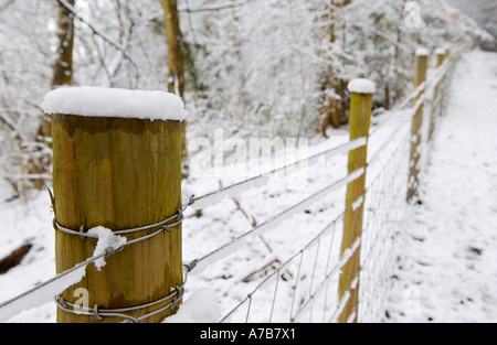 Draht Zaun Grenze im Wald Naturreservat schneebedeckt im Allt Yr Yn Newport, South Wales UK Stockfoto