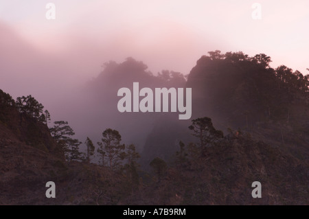 Sonnenaufgang von La Cumbrecita in El Parque Nacional De La Caldera de Taburiente auf La Palma auf den Kanarischen Inseln. Stockfoto