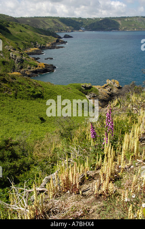 Bouley Bay Stockfoto