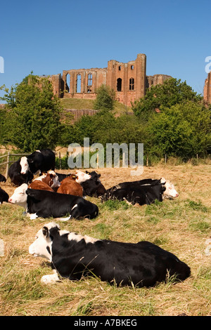 Kenilworth Castle Kenilworth UK Juni 2005 Stockfoto