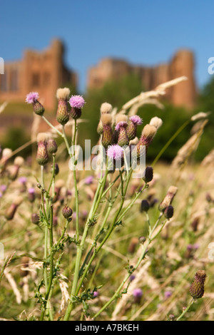 Kenilworth Castle Kenilworth UK Juni 2005 Stockfoto