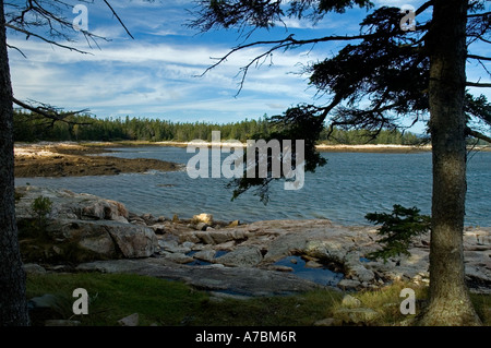 Ansichten auf Wonderland Trail Stockfoto