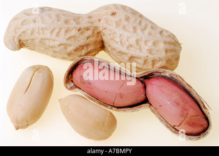 Erdnuss Samen Verpackung in der Schale geröstet Stockfoto
