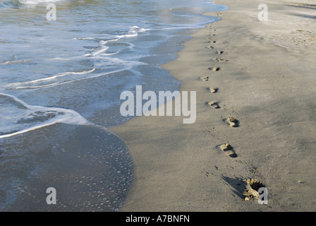Fußabdrücke auf dem Strand am Morgen Stockfoto