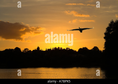 Späte Ankunft am Frimley Luken in der Abenddämmerung Stockfoto