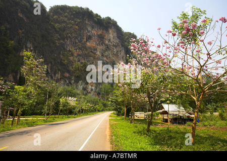 Ao Nang Krabi Provinz Thailand Stockfoto