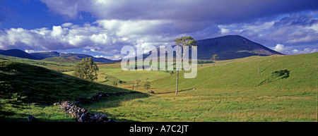 Glen Fender, Blair Atholl Beinn ein "Ghlo Gen kippen Pitlochry Tayside Region Perthshire Schottland UK APK 206 Stockfoto