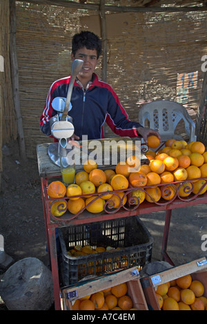 Junge stand quetschen frische Orangen Saft an einem Straßenrand machen, Marokko, Nordafrika Stockfoto