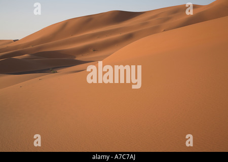 Sanddünen des Erg Chebbi Merzouga, Sahara Wüste, Marokko, Nordafrika Stockfoto