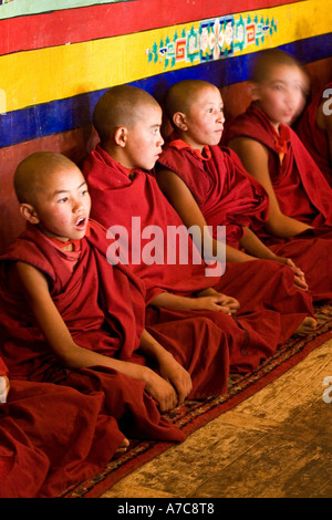 Junge Mönche und Mönche des Gelupa--Ordens während der Puja - Likir Gompa - Ladakh - indischen Himalaya Stockfoto