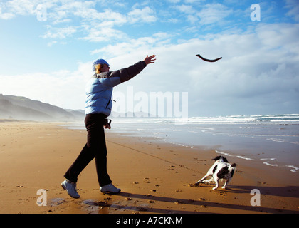 Person es Hund am Strand spazieren und Stock zu werfen Stockfoto