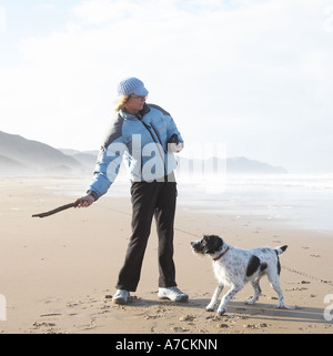 Person es Hund am Strand spazieren und Stock zu werfen Stockfoto