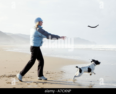 Person es Hund am Strand spazieren und Stock zu werfen Stockfoto