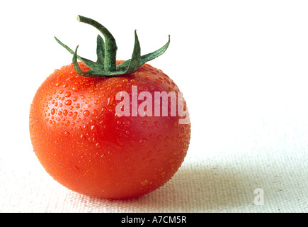 Tomaten-nass. Stockfoto