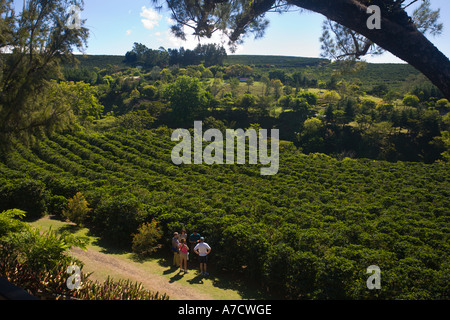 Besucher am großen Kaffeeplantage am unteren hängen in der Nähe von Poas Vulkan in Central Valley und Highlands Provinz Costa Rica Stockfoto