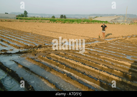 Mann, die Öffnung der Bewässerung-Kanal vor dem Einpflanzen Kartoffeln auf Ackerland in der Nähe von Antalya Türkei Stockfoto