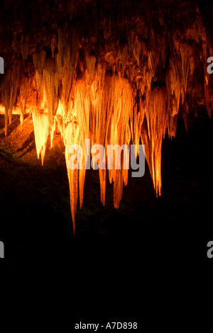 Carlsbad Caverns Höhlen in New Mexiko Stockfoto