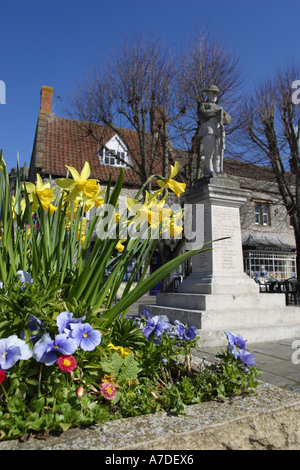 Somerton Somerset England Kriegerdenkmal auf dem Marktplatz mit Frühlingsblumen Stockfoto