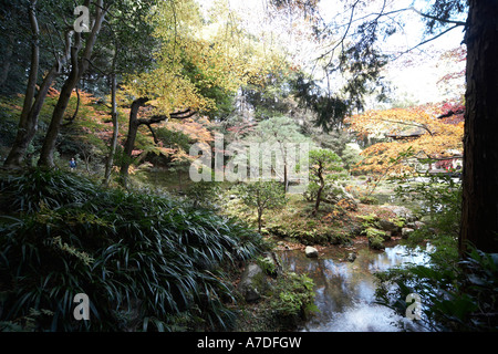 Roter und Goldener Herbst Bäume Ahornblätter mit Teich oder Pool in ornamentalen Garten Nanzenji Nanzen in Tempelstadt von Kyoto Japan Stockfoto