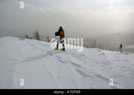 Eine Dame trekker Schneeschuhwandern auf dem Mont Olivin in der schicken Schokolade, Gaspesie National Park Quebec Kanada Stockfoto