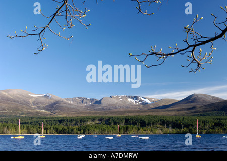 Loch Morlich Glenmore Aviemore Strathspey Inverness-Shire Highland Region Schottland XPL 6365 Stockfoto