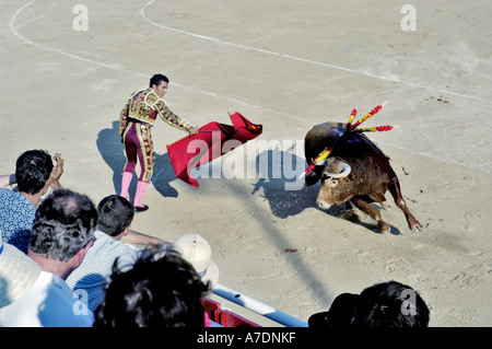 Montpelier France, Bull, STIERKAMPF IN DER ARENA „MANUEL B EL CORDOBES“, Matador, (Palavas les Flots) Stockfoto