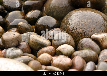 nasses Kopfsteinpflaster Stockfoto