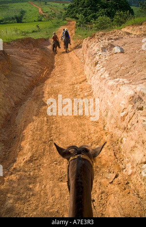 Familie Reiten in der Natur zusammen mit ihren kubanischen Führer, Vinales Tal, Kuba. Stockfoto