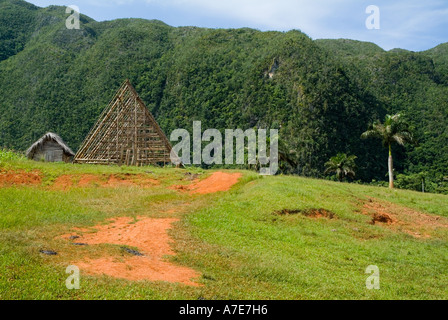 Hütte mit einem traditionellen Reetdach mit Kokospalmen und die Mogotes im Hintergrund, Tal von Vinales, Kuba. Stockfoto