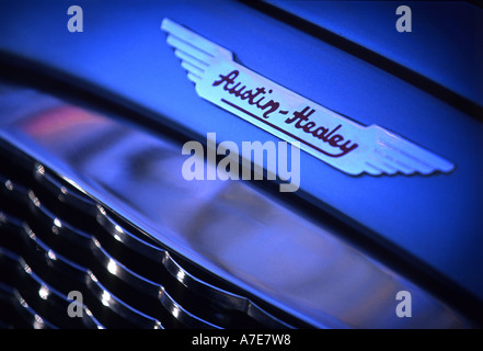 EIN AUSTIN HEALEY-LOGO AUF DER MOTORHAUBE Stockfoto