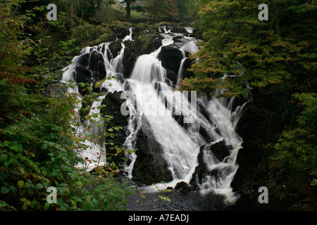 Swallow Falls Betws y Coed Conwy North Wales Wales Großbritannien Europa Stockfoto