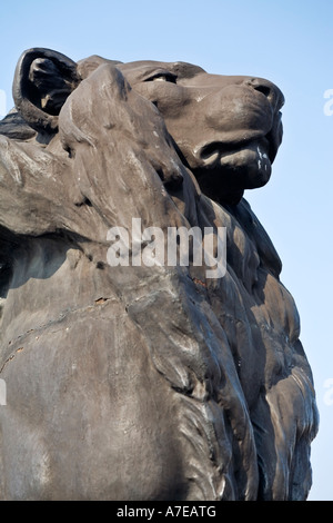 Einer der vier Löwen am Fuße des Denkmals Colum von Christopher Columbus in Barcelona Spanien Stockfoto