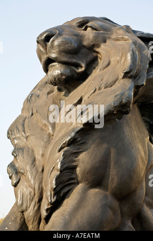 Einer der vier Löwen am Fuße des Denkmals Colum von Christopher Columbus in Barcelona Spanien Stockfoto