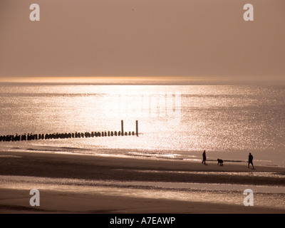 Ein Mann und eine Frau zu Fuß auf einer Nordsee-Strand mit einem Hund Stockfoto