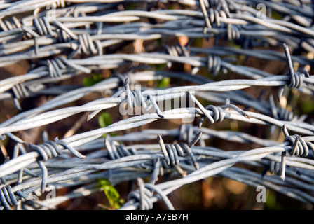 Spule aus Stacheldraht Stockfoto